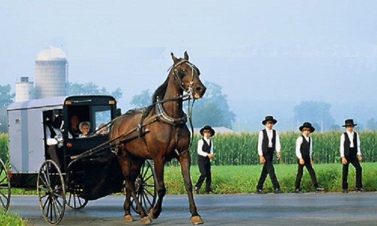 Amish Off-Grid Lessons