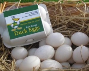 Benefits of Duck Eggs