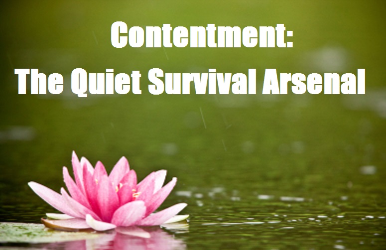 Contentment: The Quiet Survival Arsenal 