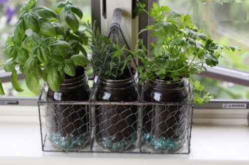 Create a Mason Jar Herb Garden
