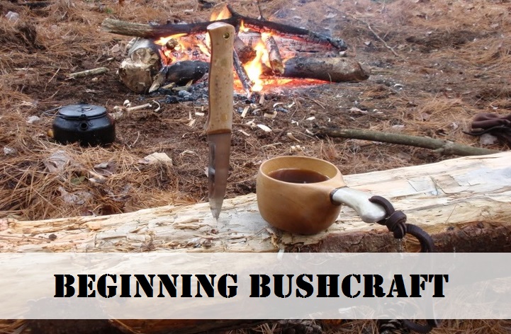 Beginning Bushcraft