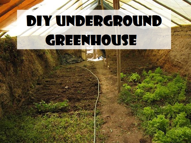  DIY Underground Greenhouse