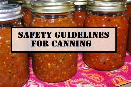  Safety Guidelines for Canning
