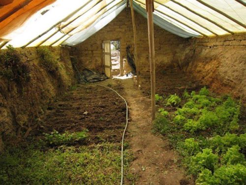 DIY Underground Greenhouse