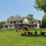 Homesteading 101: Getting Started