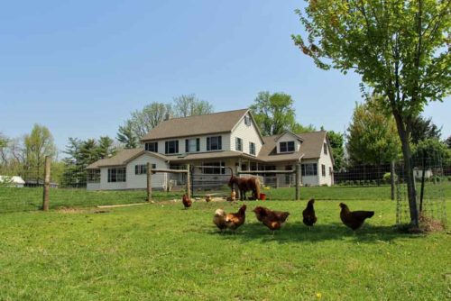 Homesteading 101: Getting Started