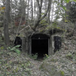 Building a Remote Escape Bunker