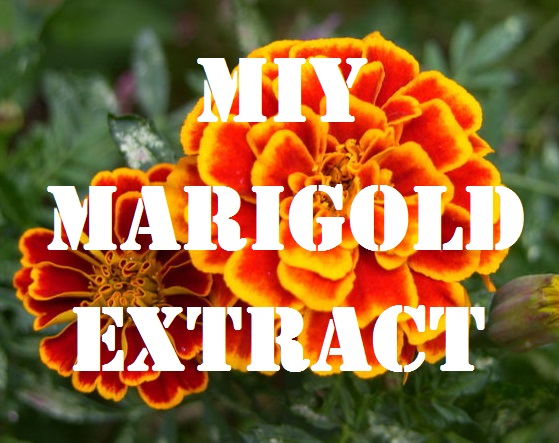 MIY Marigold Extract
