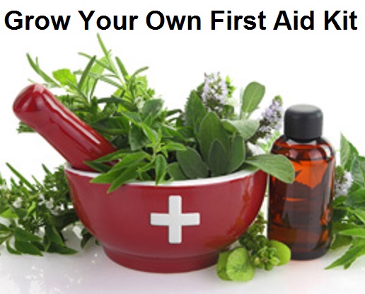 Grow Your Own First Aid Kit