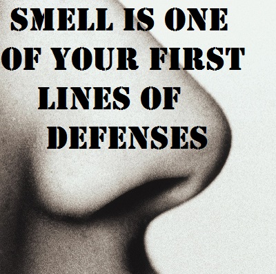Smell is One of Your First Lines of Defenses