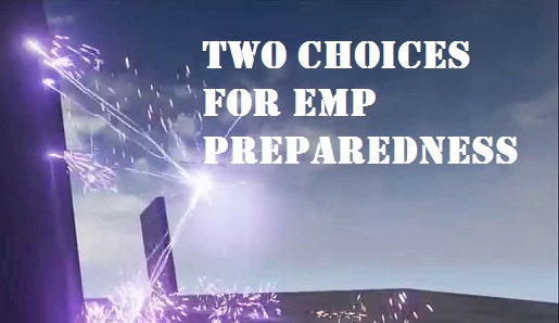 Two Choices for EMP Preparedness