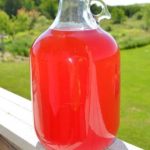 MIY Rhubarb Cherry Wine