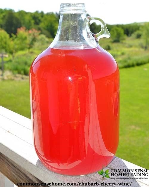 Make It Yourself Rhubarb Cherry Wine
