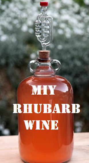  MIY Rhubarb Wine 