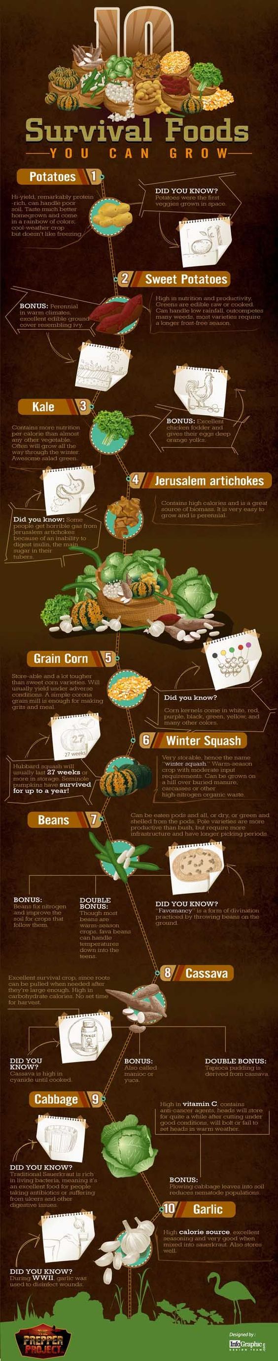 Survival foods you can grow