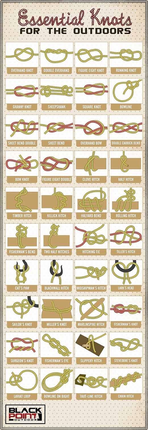 Essential Knots Infographic