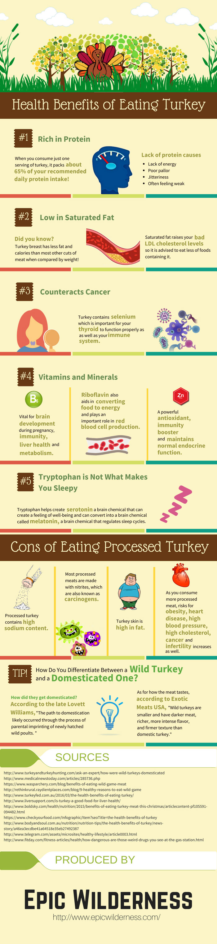 Health-Benefits-of-Turkey