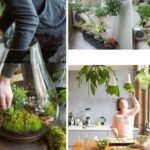 26 Mini Indoor Garden Ideas