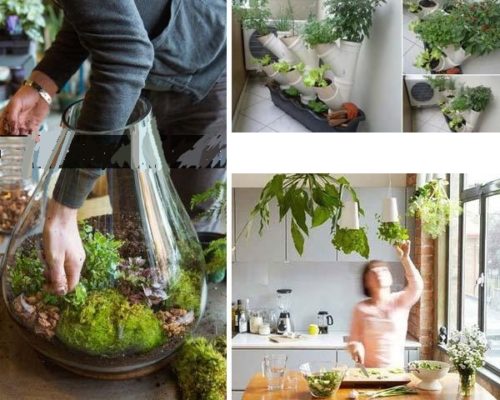 26 Mini Indoor Garden Ideas