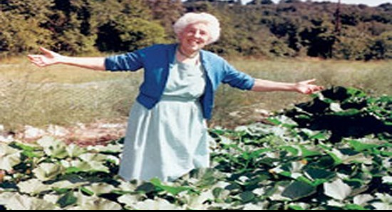 Ruth Stout's No Work Gardening Method