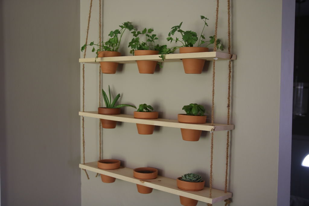 DIY Hanging Herb Garden