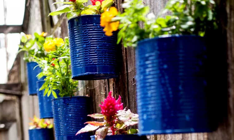  DIY Tin Can Alley Vertical Gardening 