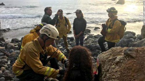 Woman Survives Alone 7 Days After Her SUV Plunged Off Cliff