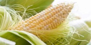 Uses for Corn Silk With Recipes