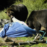 Gear to Bear-Proof Your Camp