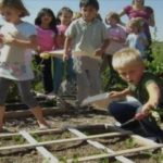 Should Children Be Taught How To Grow Food As Part Of Their Schooling?
