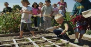 Should Children Be Taught How To Grow Food As Part Of Their Schooling?