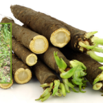 What The Heck Is Salsify?